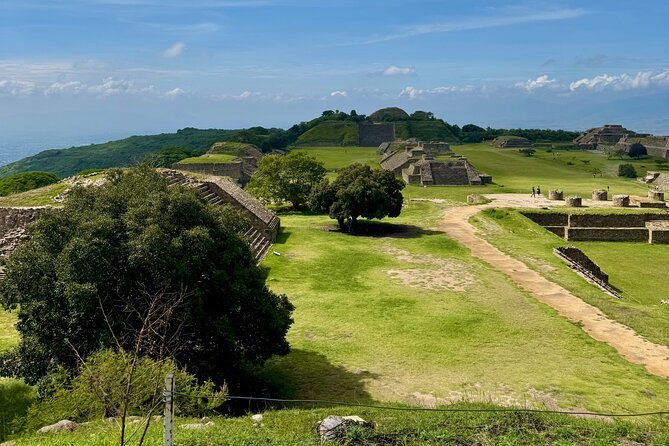 Stone platforms standing in the grass of the Monte Alban plaza