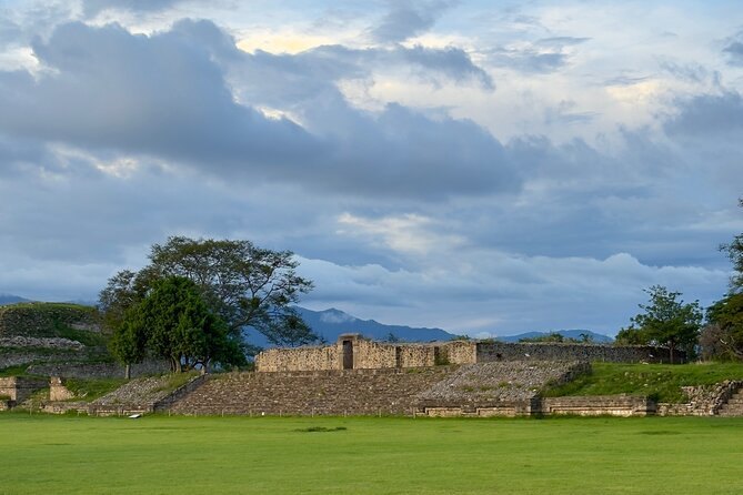 The open plaza at Monte Alban with one tree standing on the grass