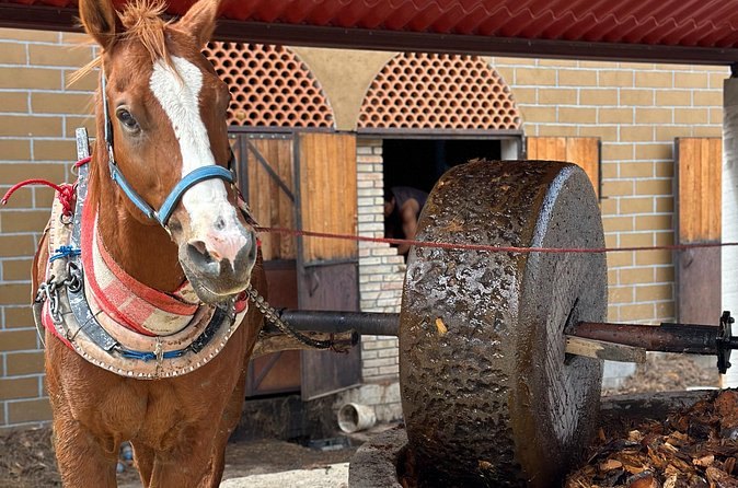 The stone tahona mill at a mezcal palenque, turned by a horse